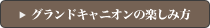 グランドキャニオンの楽しみ方