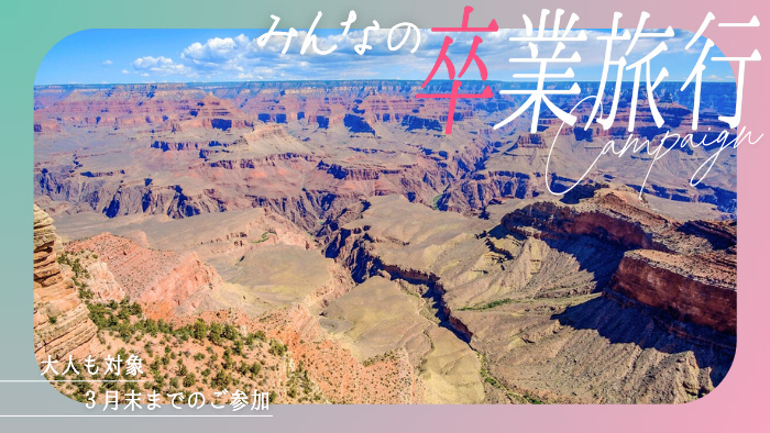 特別キャンペーン画像