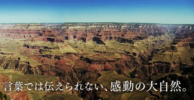 グランドキャニオン・シーニック航空／Grand Canyon Scenic Airlines